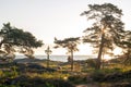 Sunrise of a classic midsommer pole with small tents with campers at the coast line of Roslagen Royalty Free Stock Photo