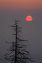 Sunrise, Clingmans Dome, Great Smoky Mountains