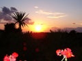 Sunset at an Summer Evening in Greece