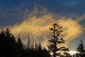 At sunrise,a cloud is lit up with sunlight in the Smokies. Royalty Free Stock Photo