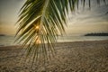 Sunrise with coconut palm leaves on tropical beach background Royalty Free Stock Photo