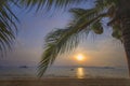 Sunrise with coconut palm trees and coconuts fruit Royalty Free Stock Photo