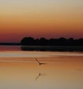 4am Sunrise in Colorado Royalty Free Stock Photo