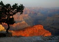 Sunrise Colors, Grand Canyon Royalty Free Stock Photo