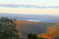 Magic sunrise colors in Tamborine Mountain National Park, Queensland, Australia Royalty Free Stock Photo