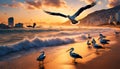 Sunrise on Copacabana beach, with seagulls and pelicans flying and fishing