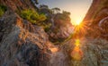 Sunrise in Costa Brava. Morning nature landscape in Lloret de Mar. Spanish mediterranean nature with bright sun