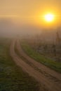 sunrise, country road in the mist