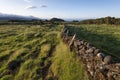 Sunrise countryside landscape at Ilha do Pico`s Island Planalto da Achado with typical Azores Heather Erica azorica and lava