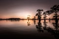 Sunrise with cypress trees in the swamp of the Caddo Lake State Park Royalty Free Stock Photo