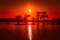 Sunrise with cypress trees in the swamp of the Caddo Lake State Park Royalty Free Stock Photo