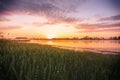 Sunrise or dawn above the pond or lake at spring or early summer morning with cloudy sky, fog over water and reed grass Royalty Free Stock Photo