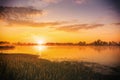 Sunrise or dawn above the pond or lake at spring or early summer morning with cloudy sky, fog over water and reed grass Royalty Free Stock Photo