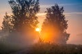 Sunrise dawn in misty forest Royalty Free Stock Photo