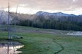 Sunrise Dawn over Bison path next to steaming fumaroles in Yellowstone National Park in Wyoming Royalty Free Stock Photo