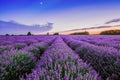 Sunrise and dramatic clouds over Lavender Field Royalty Free Stock Photo