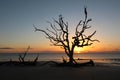 Sunrise on Driftwood Beach, Georgia Royalty Free Stock Photo