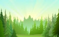 Sunrise due to coniferous forest on the horizon. Cute funny floral green landscape. Rural countryside. Illustration in