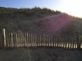 Sunrise in the dunes Royalty Free Stock Photo