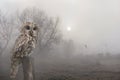 Sunrise in early morning with tawny owl or brown owl  Strix aluco  on stump in fog among trees. Autumnal landscape Royalty Free Stock Photo