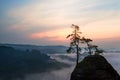 Sunrise in the Elbe sandstone mountains Royalty Free Stock Photo