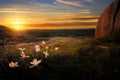 Sunrise on Enchanted Rock