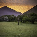 Sunrise in Lake District,UK Royalty Free Stock Photo