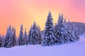 Sunrise enlightens sky, mountain and trees standing in snowdrifts covered by frozen snow with yellow shine.