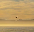 Sunrise on False Bay, South Africa