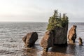 Sunrise famous Hopewell Rocks geologigal formations at low tide biggest tidal wave Fundy Bay New Brunswick Canada