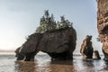 Sunrise famous Hopewell Rocks geologigal formations at low tide biggest tidal wave Fundy Bay New Brunswick Canada