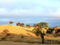 Sunrise on farmers hillside