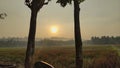 Sunrise is fenced in the rice fields