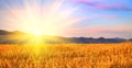 Sunrise in the field Royalty Free Stock Photo