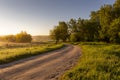 Sunrise on a field covered with flowering lupines and road in summer morning with fog Royalty Free Stock Photo