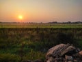 early morning view of a farm field with golden shining sunrise Royalty Free Stock Photo