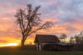 Sunrise on a field Royalty Free Stock Photo