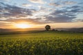 Sunrise in the fields, Cornwall, uk