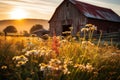 Sunrise fields rustic barn enveloped in wildflower hues, sunrise and sunset wallpaper