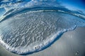 Sunrise at the florida beach Royalty Free Stock Photo