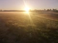 Sunrise fog grass morning