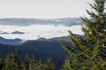 Sunrise and fog in The Great Smoky Mountains National Park in fall. Royalty Free Stock Photo