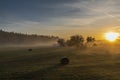 Sunrise with fog on meadows near Pisek town in south Bohemia