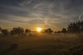 Sunrise with fog on meadows near Pisek town in south Bohemia