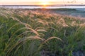 Sunrise, fog over the river panorama of the landscape in the early morning. pink sky before sunrise . background image Royalty Free Stock Photo