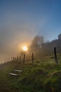 Beautiful spring landscape with green meadows, the sky with picturesque clouds Royalty Free Stock Photo