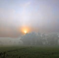 Sunrise at Foggy morning cloud