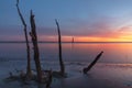 Sunrise Folly Beach South Carolina Royalty Free Stock Photo