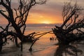 Sunrise Folly Beach South Carolina Royalty Free Stock Photo