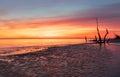 Sunrise Folly Beach South Carolina Royalty Free Stock Photo